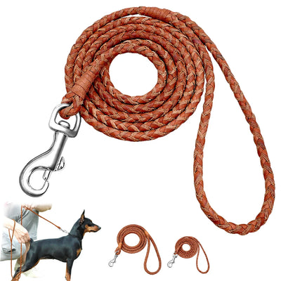 Premium Rolled Leather Dog Leash Braided