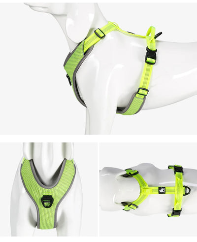 X-Treme Control Dog Harness