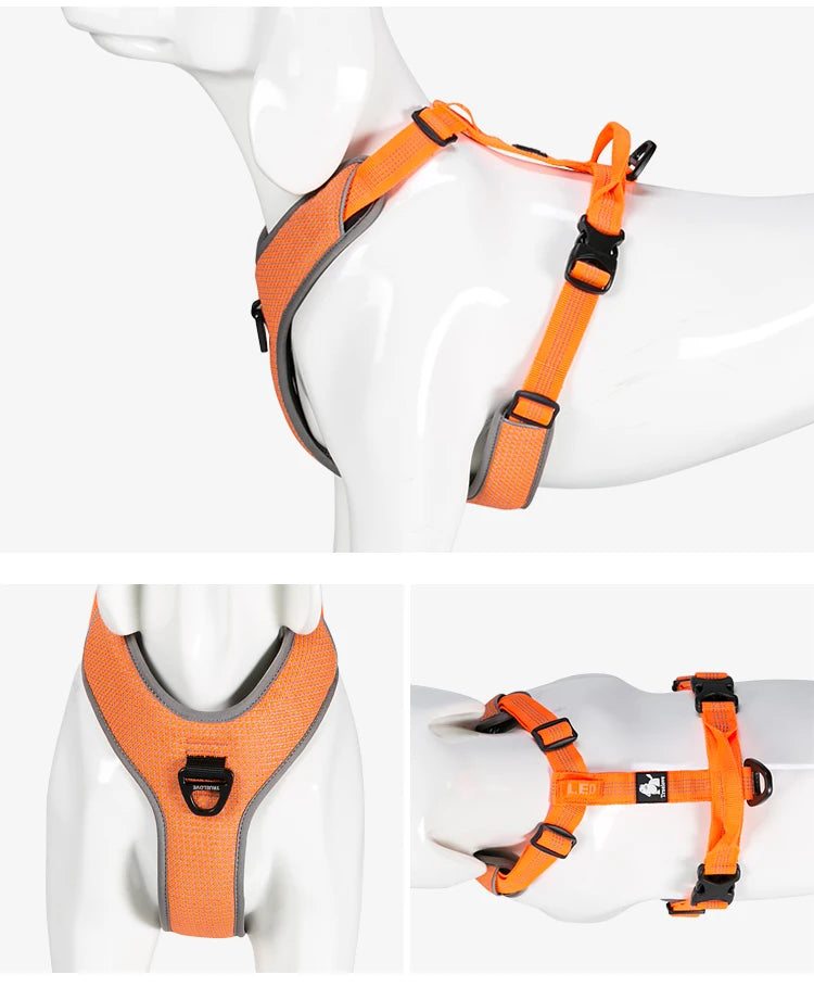 X-Treme Control Dog Harness