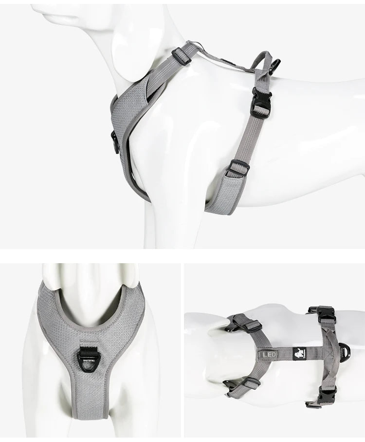 X-Treme Control Dog Harness