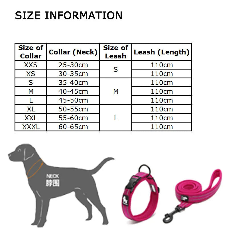 Easy Walk Dog Collar & Leash Set