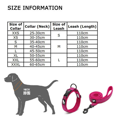 Ensemble collier et laisse pour chien Easy Walk