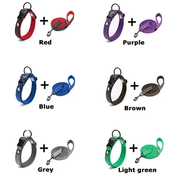 Easy Walk Dog Collar & Leash Set