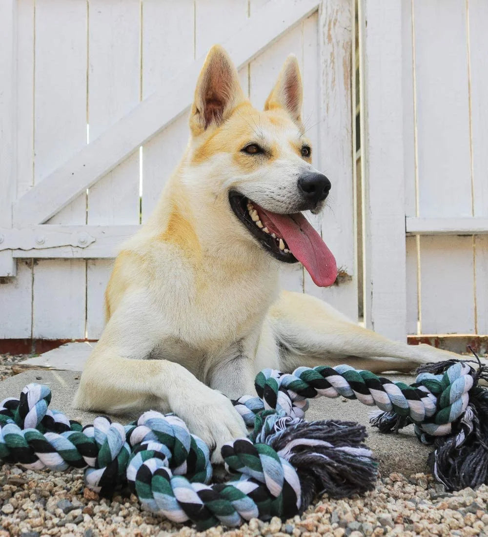 Jouet en corde géant pour chien