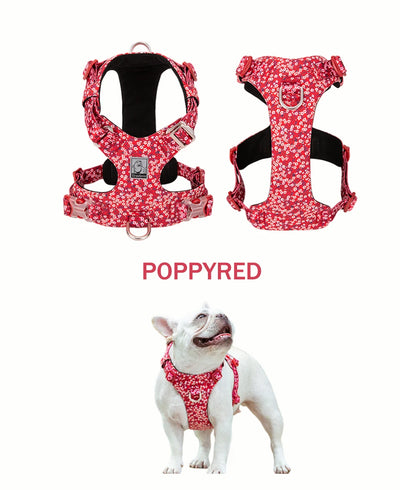 Joy Collection Soft Harness Dog Vest