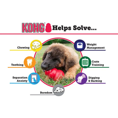 Jouet à mâcher pour chien senior KONG S/M/L