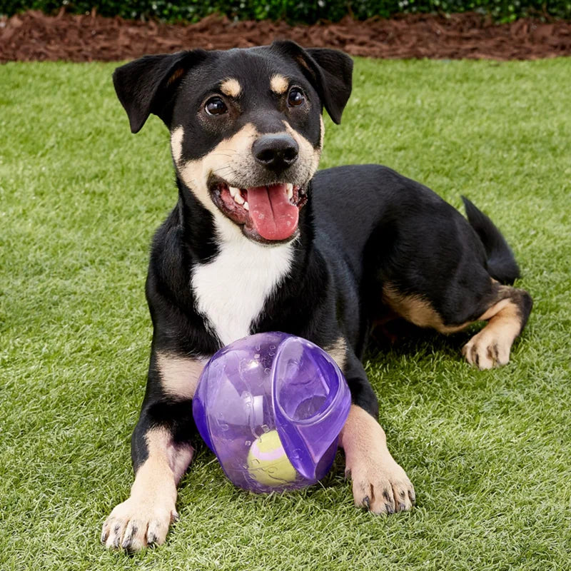 KONG Jumbler Ball/Football Dog Toy M/L Size