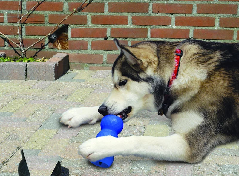 KONG Genius Mike Hundespielzeug L-Größe