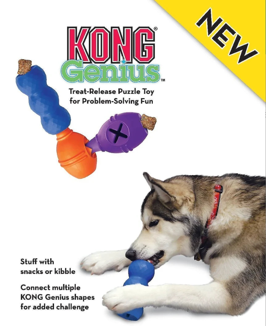 KONG Genius Leo Dog Toy Size-L