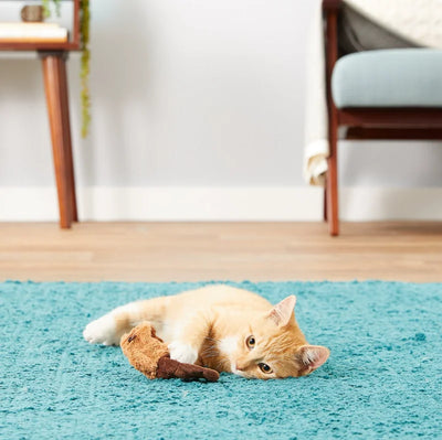 KONG Nachfüllbares Katzenspielzeug „Beaver Catnip“