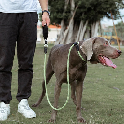 Laisse pour chien antidéflagrante avec poignée confortable