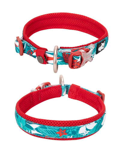 Floral Dog Collar Best Padded Comfort Cushion