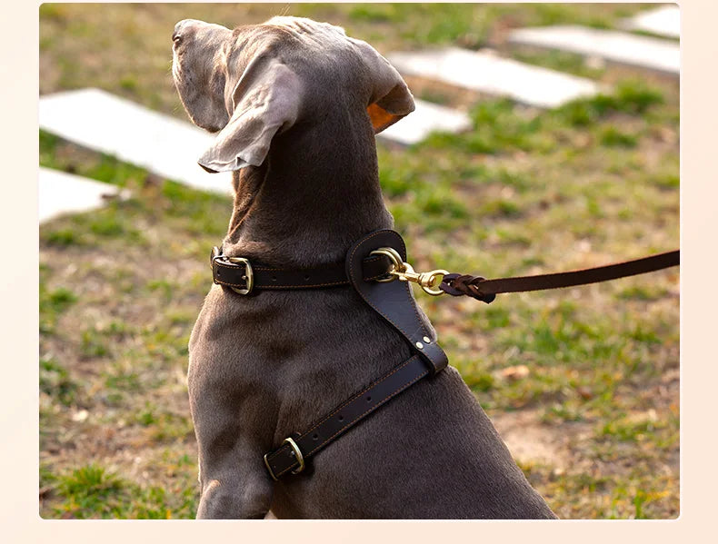 Ultra Strong Cowhide Harness Vest Leash Set