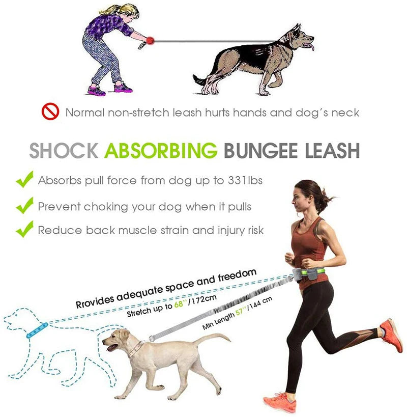 Ceinture réfléchissante mains libres pour chien Running Friend