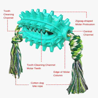 Jouets à mâcher pour chien Cactus Corde en coton amovible et douce