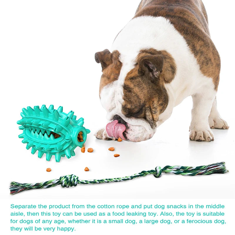 Cactus Dog Chew Toys Removable Cotton Rope Soft