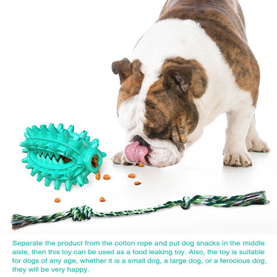 Cactus Dog Chew Toys Removable Cotton Rope Soft