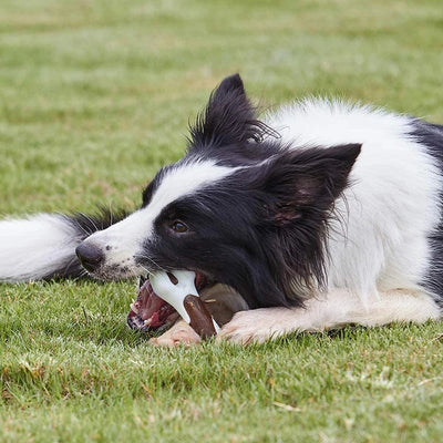 Os pour chien durable pour soins dentaires, saveur bacon