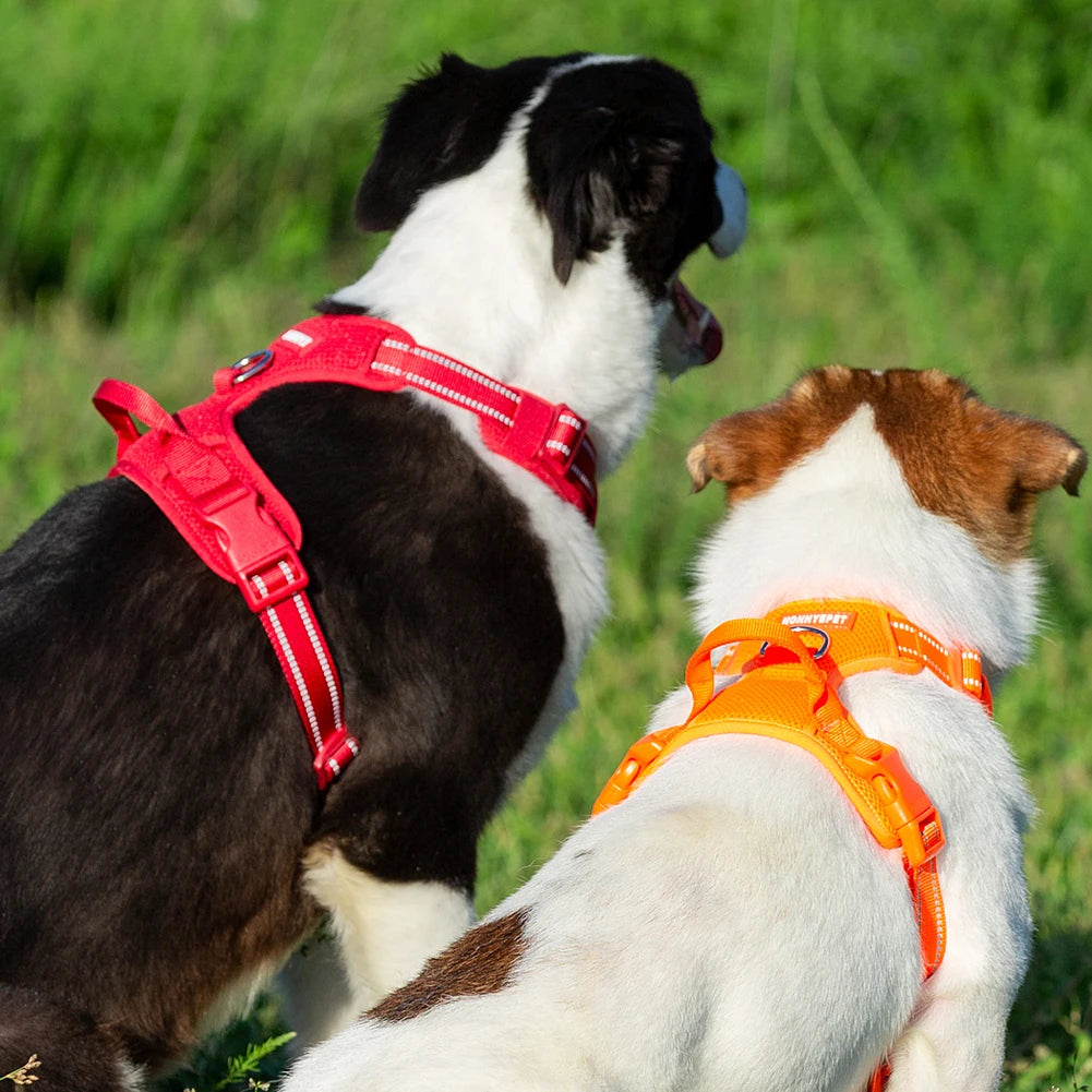 Gilet pour chien Cloud Soft Harness