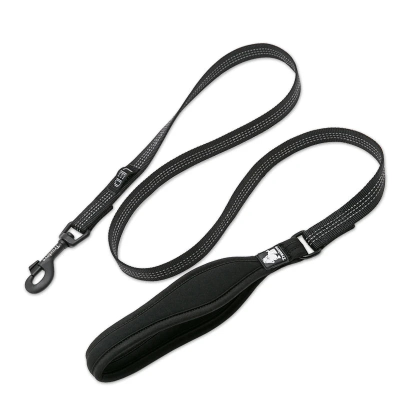 Classic Comfort Handle Dog Leash