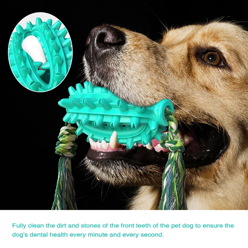 Cactus Dog Chew Toys Removable Cotton Rope Soft