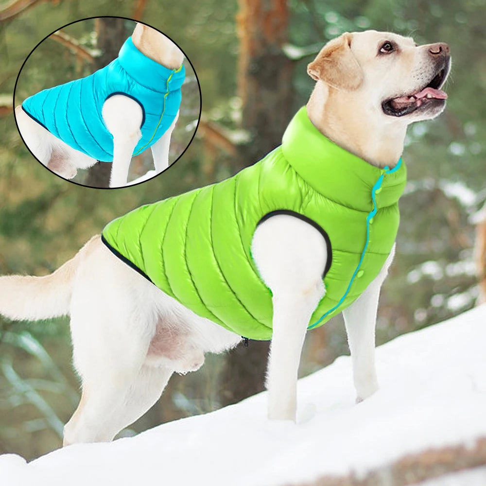 Veste d'hiver chaude et réversible pour chiens