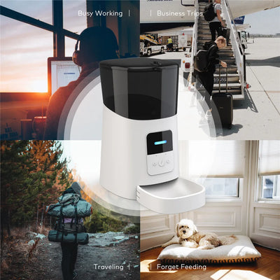 Distributeur automatique de nourriture pour animaux de compagnie intelligent avec Wi-Fi de grande capacité de 6 L