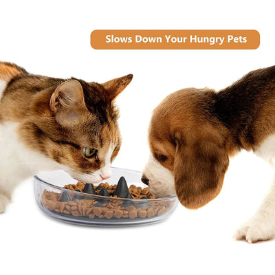 2in1 Slow Feeding Pet Bowl