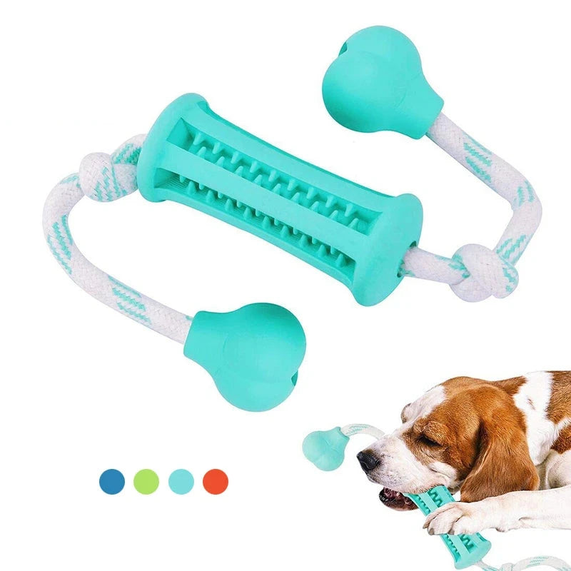 Jouets à mâcher durables pour chiens nettoyant les dents en caoutchouc interactif non toxique