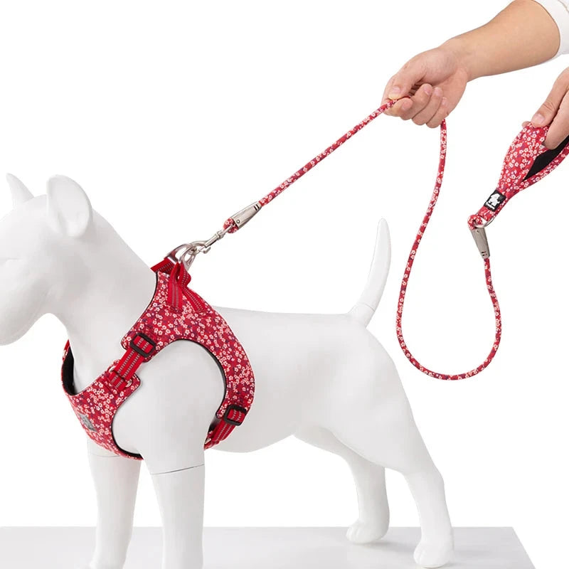 Joy Collection Comfort Handle Dog Leash