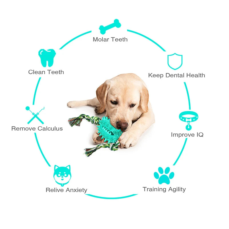 Jouets à mâcher pour chien Cactus Corde en coton amovible et douce