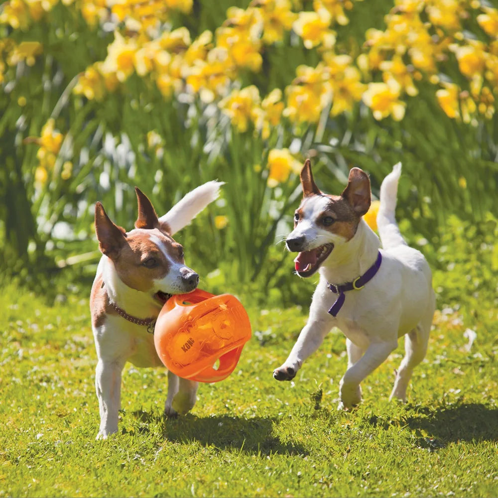 KONG Jumbler Ball/Fußball Hundespielzeug Größe M/L