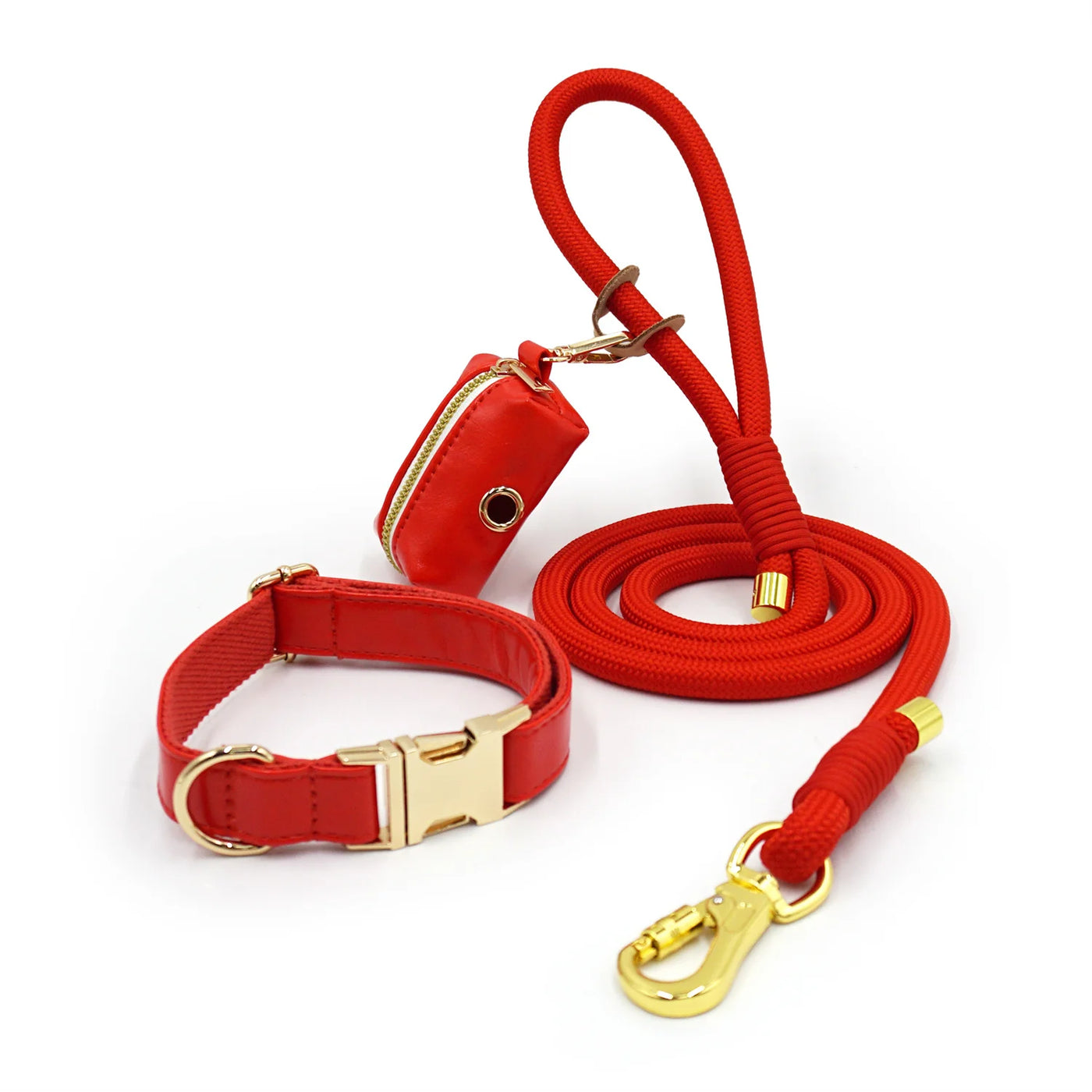 Ensemble élégant collier et laisse pour chien en cuir souple rouge