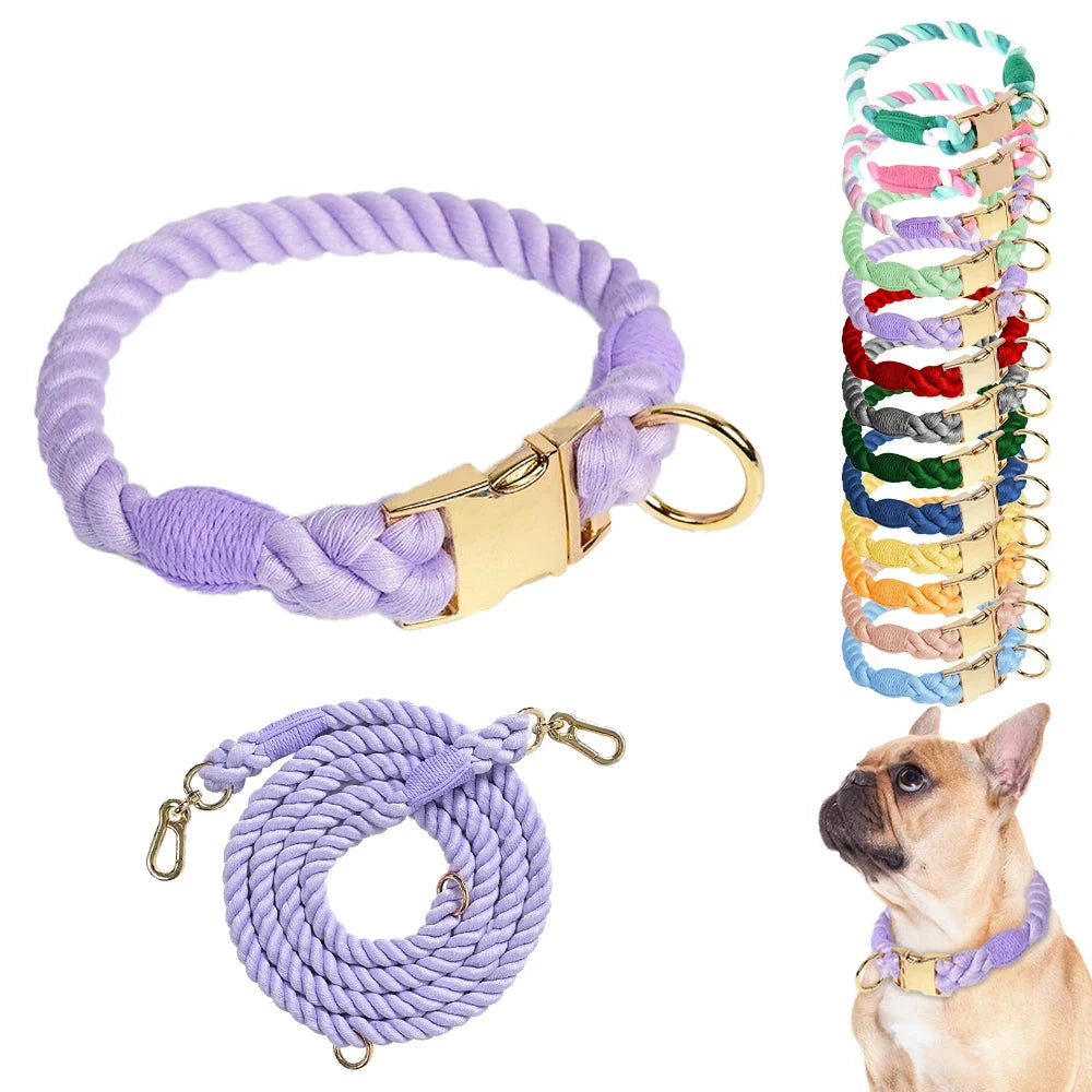 Ensemble collier et laisse pour chien Macaron