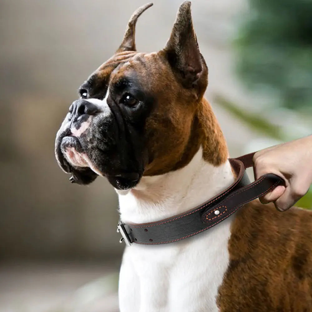 Super Control  Leather Dog Collar Durable Short Handle