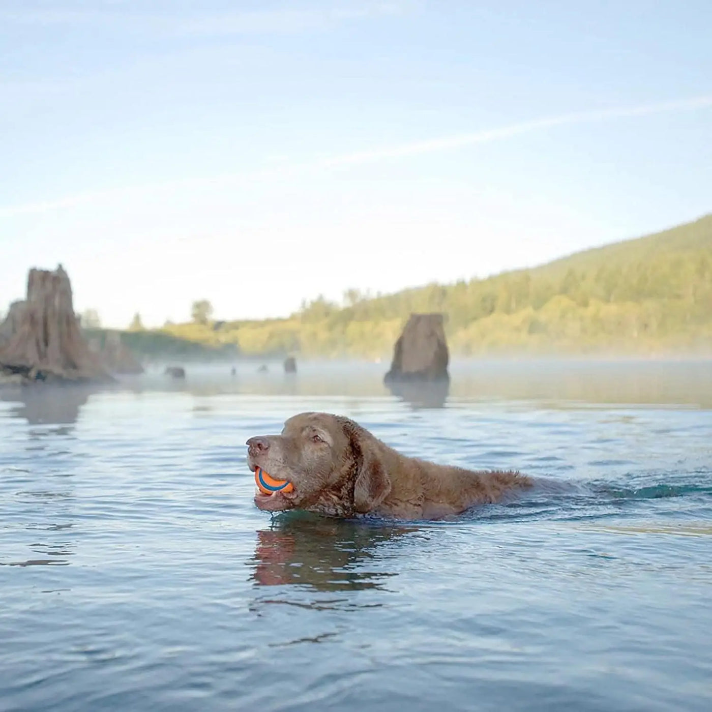 Balle jouet pour chien Chuckit Ultra