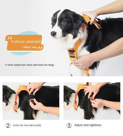 Easy Walk Dog Harnesses with Retractable Dog Leash