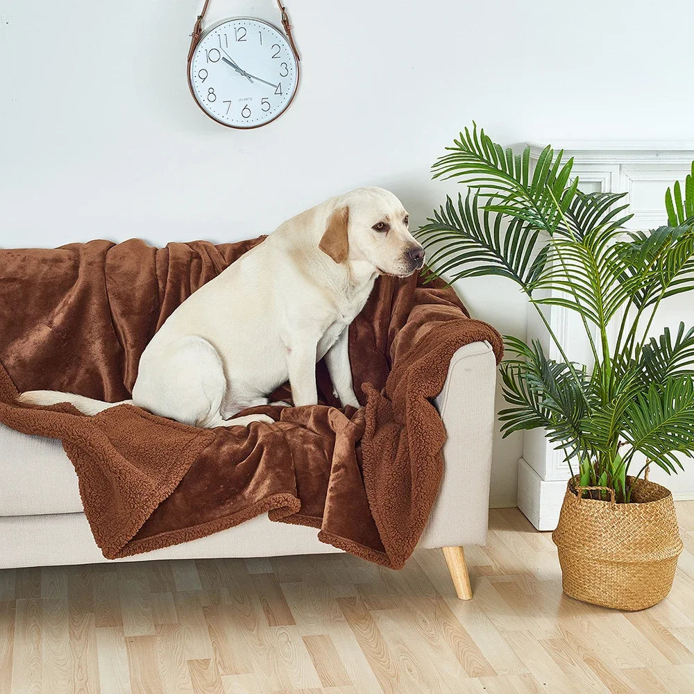 Couverture imperméable pour animaux de compagnie