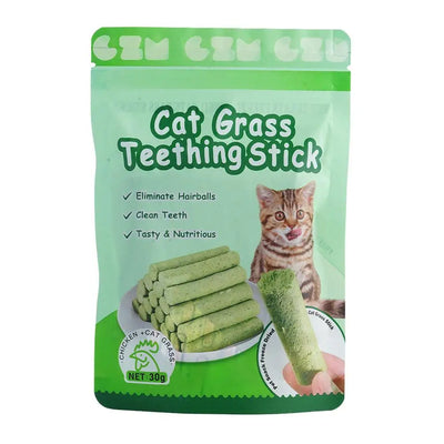 Bâton de nettoyage des dents en herbe de chat naturelle avec herbe à chat