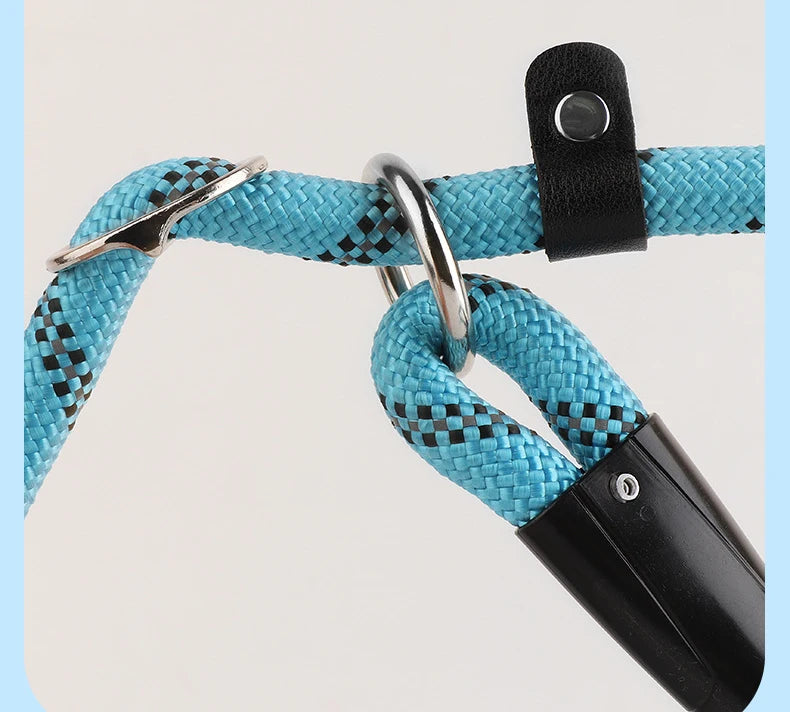 Laisse et collier pour chien en chaîne P ultra souple, une pièce