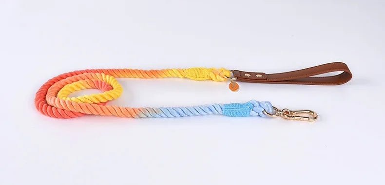 Ensemble collier et laisse pour chien en cuir et coton tissé