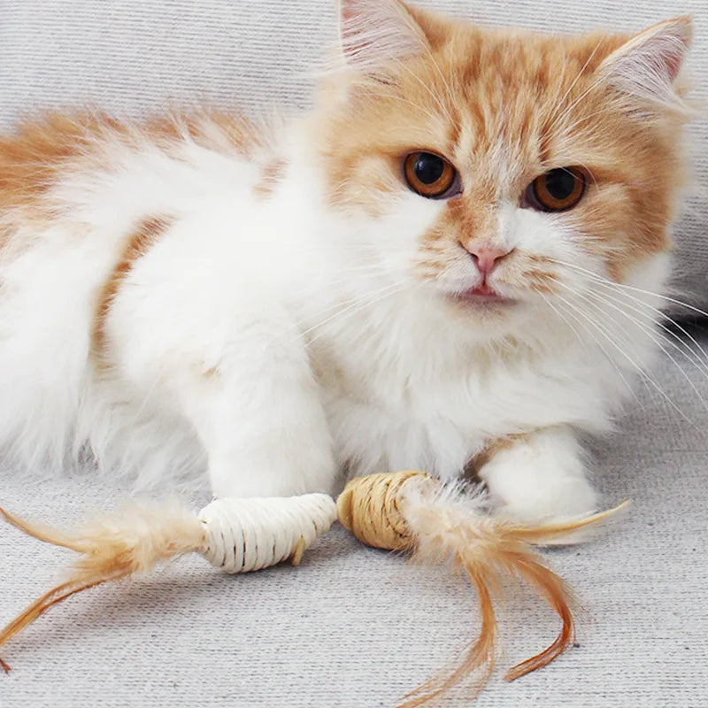 Cat Toys Mouse Feather Sisal Rope Toy 5Pcs.