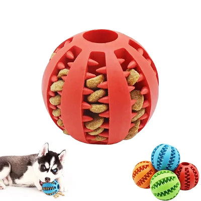 Leckerli-Ball für Hunde