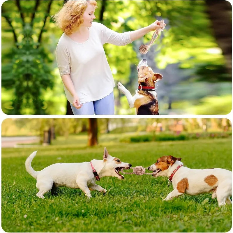 Jouets en corde pour animaux de compagnie Jouet de nettoyage des dents