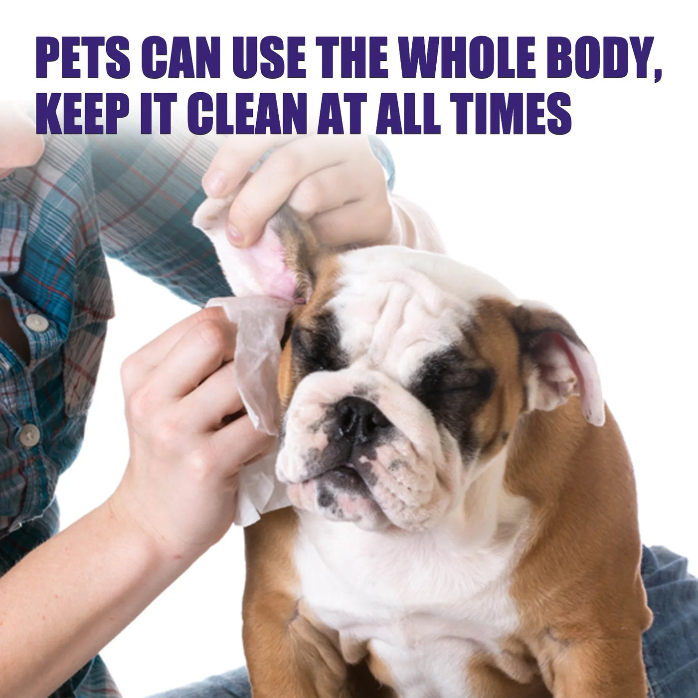 Multi Clean Pet Wet wipes Travel