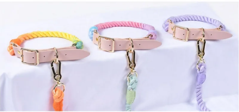 Ensemble collier et laisse pour animaux de compagnie Macaron coloré