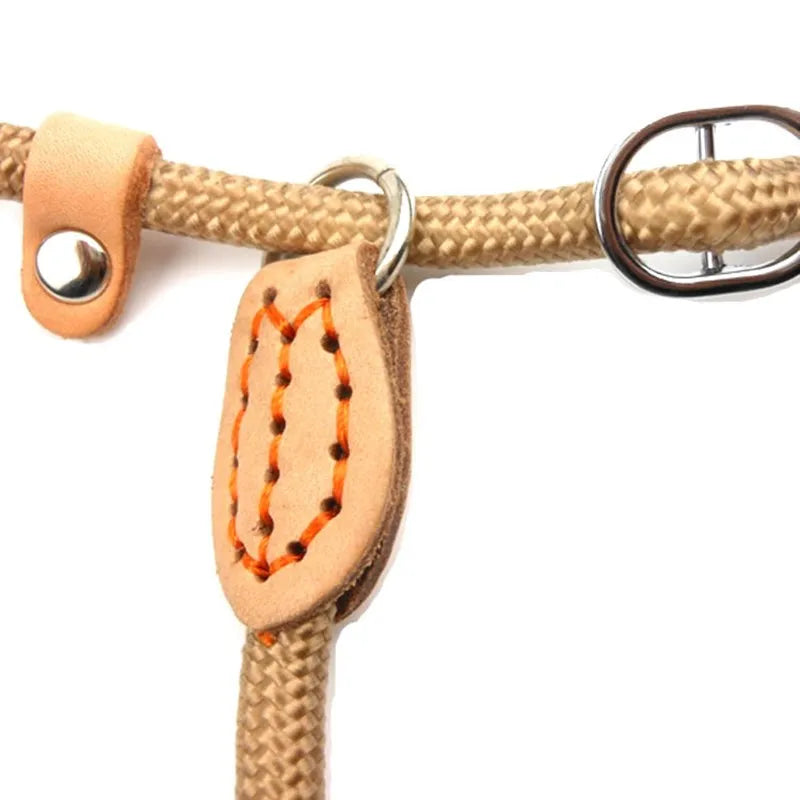 Laisse pour chien en corde coulissante, collier à boucle, taille M