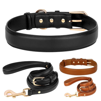 Classic Leather Dog Collar and Leash Set