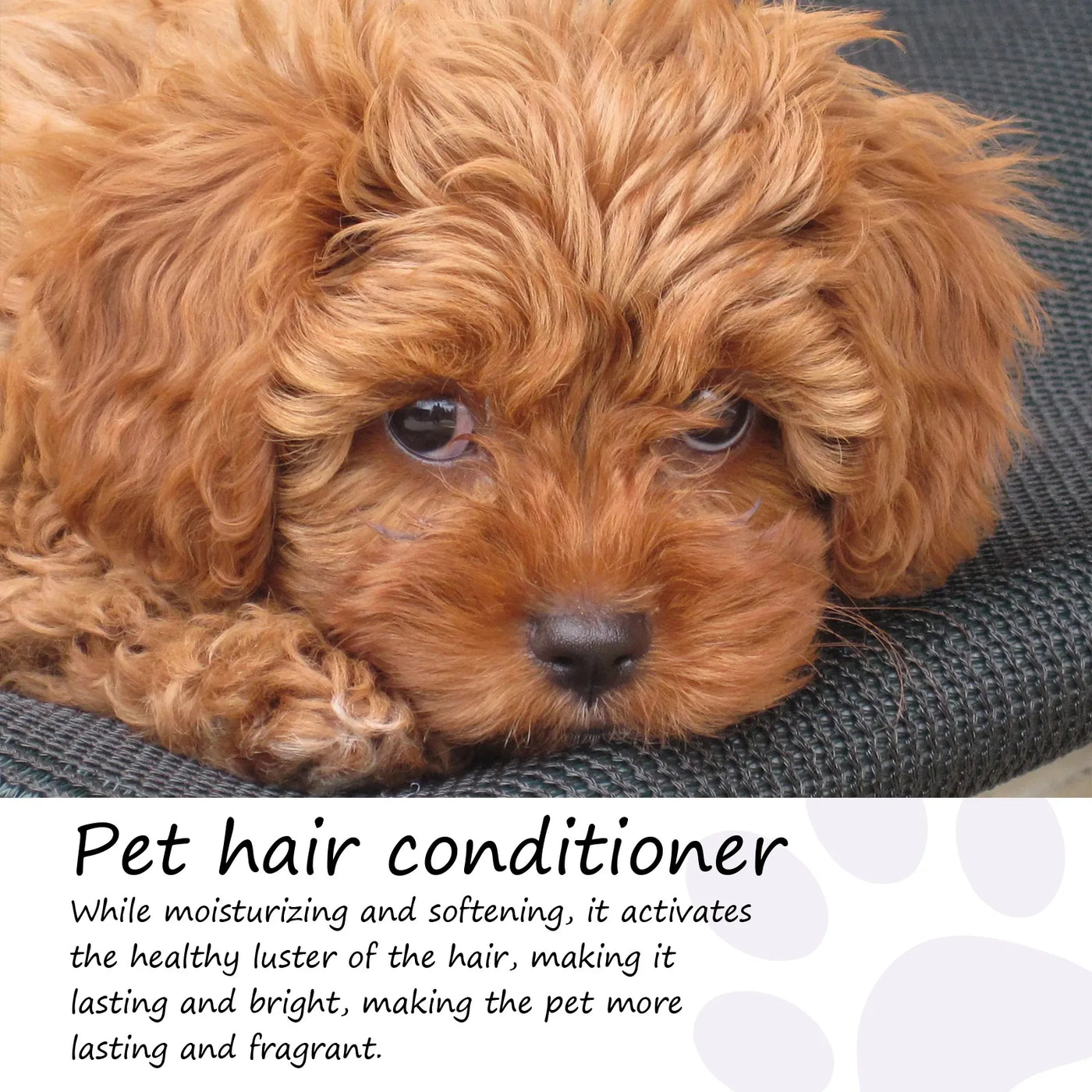 Pet Hair Conditioner Hair Softening Prevent Knots