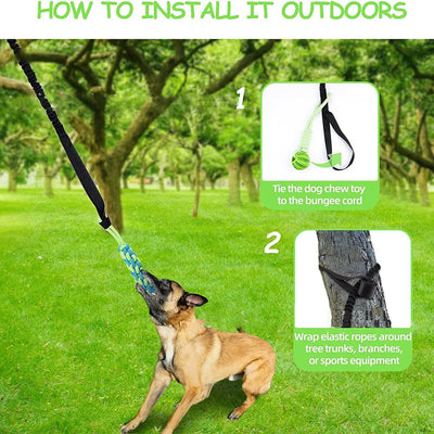 Interactive Dog Spring Rope Outdoor & Indoor Hanging